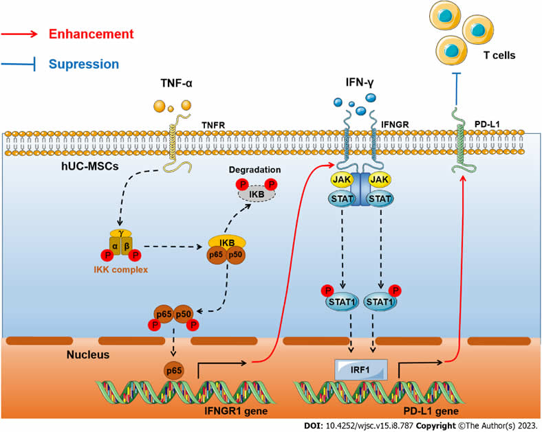 1730274651473541.jpg 1.jpg