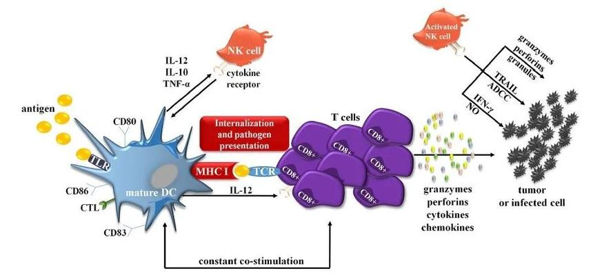 1730340171181396.png image.png