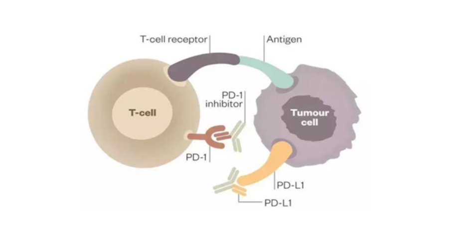 1730340182287750.png image.png