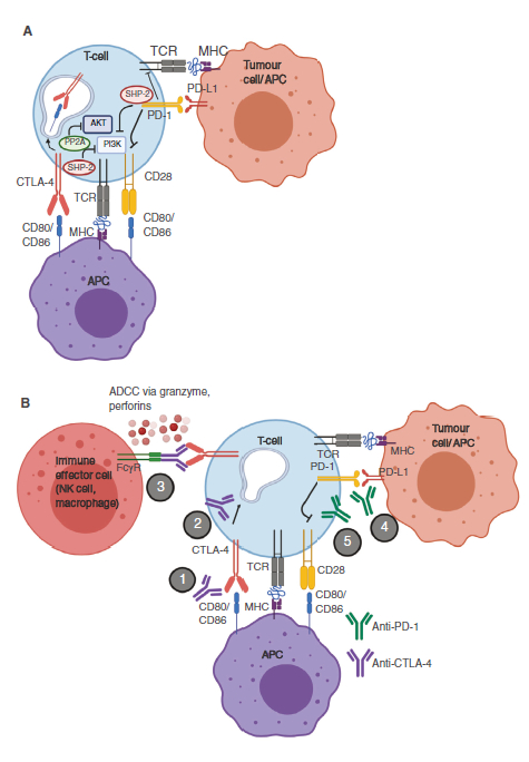 1730340274217193.png image.png