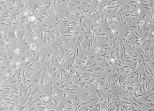 1730363654593872.png image.png