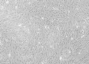 1730363715545867.png image.png