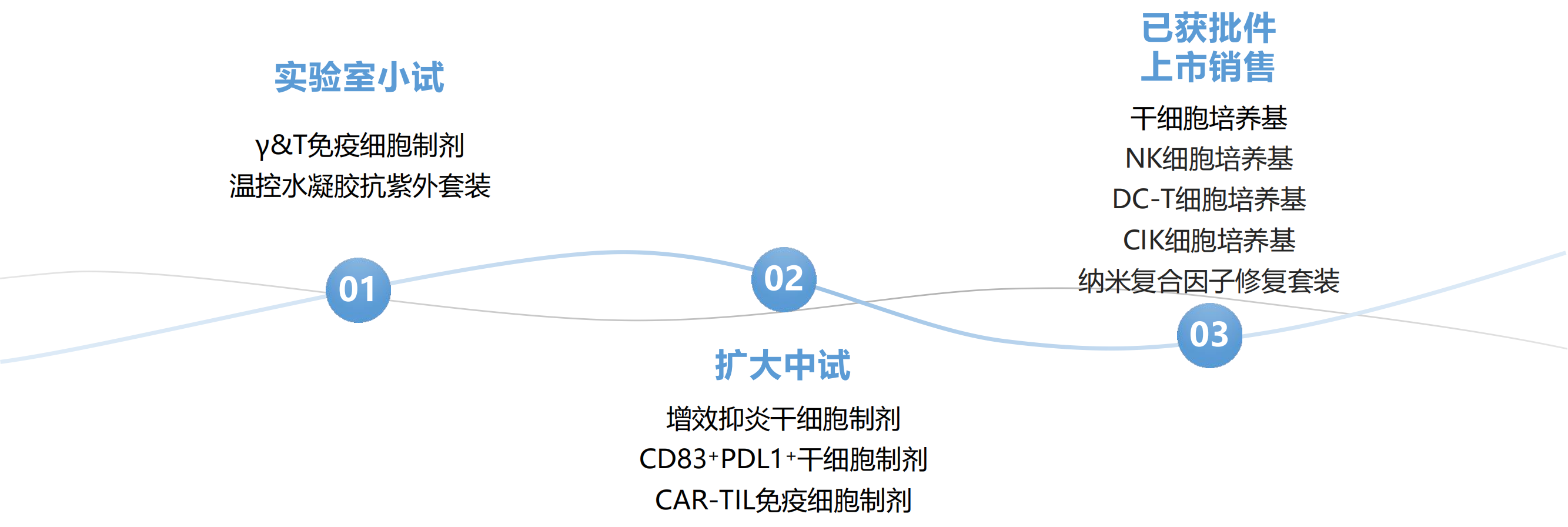 1735267462845397.png 1735267462845397.png